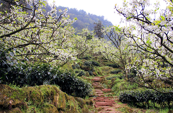 中国美丽乡村典范——眉山丹棱幸福古村