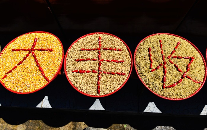 中 방방곡곡 중국농민풍수절 맞이_fororder_1