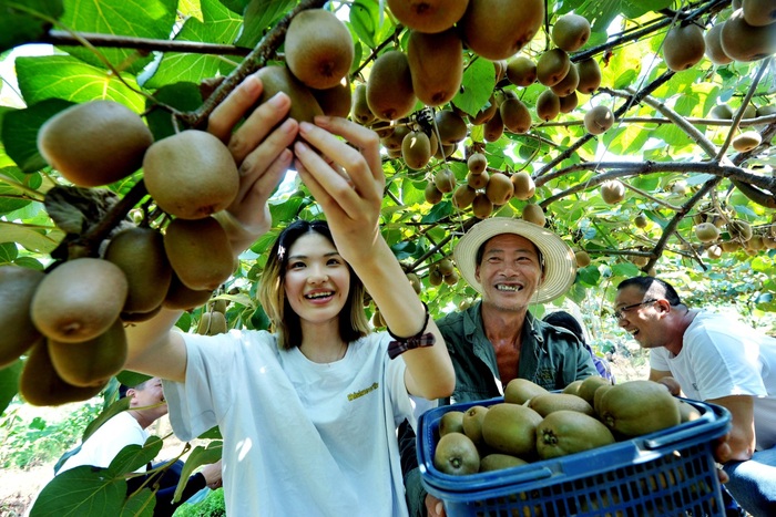 中 방방곡곡 중국농민풍수절 맞이_fororder_5