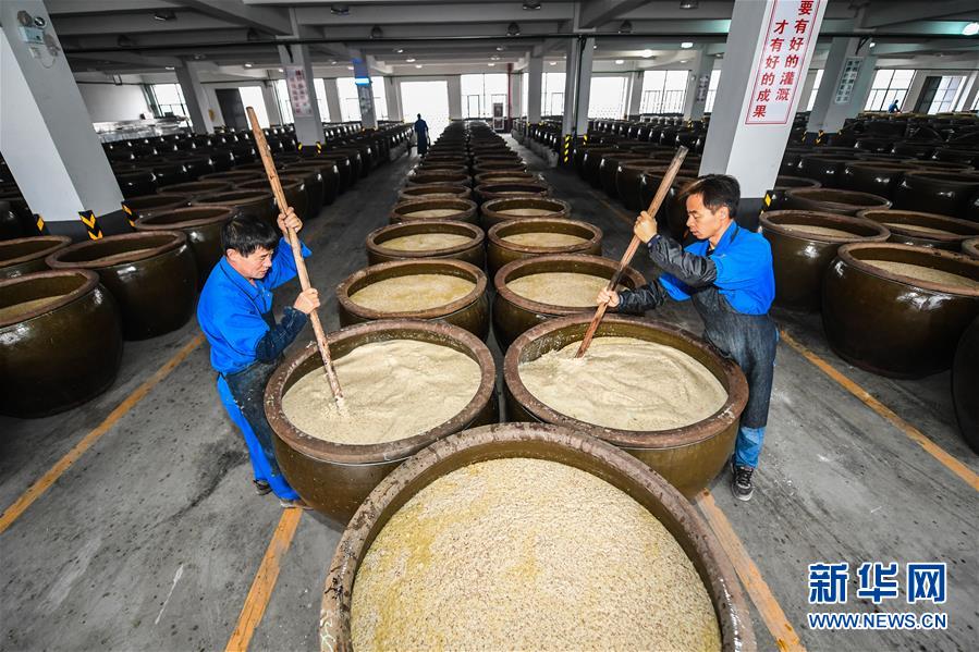 立冬节气黄酒之乡开启传统“冬酿”(组图)