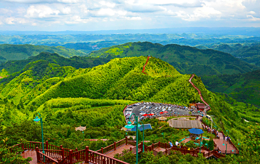 图为盘县老厂竹海景区.(马云--摄 )