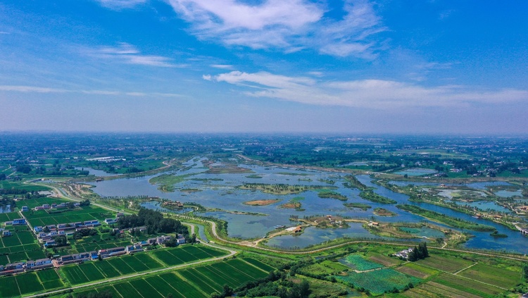 扬州北湖湿地公园：云天沧沧 秋水泱泱