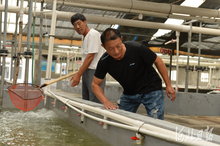 河北黄骅：现代渔业促增收