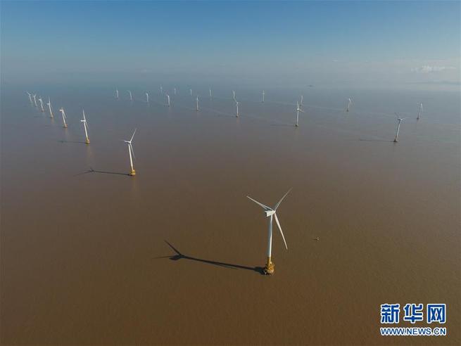 海上に立ち並ぶタービン　上海の東海大橋海上風力発電所