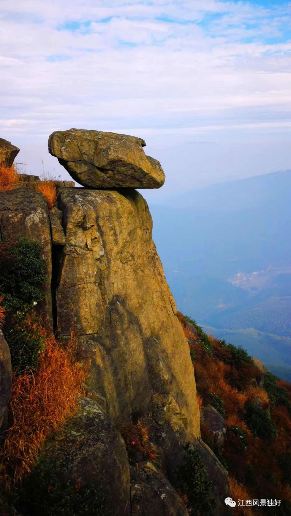 朱虹:万亩映山红花海创视觉盛宴令人震撼!荷湖旅游业转型建江西首红前景光明 朱虹:万亩映山红花海创视觉盛宴令人震撼!荷湖旅游业转型建江西首红前景光明