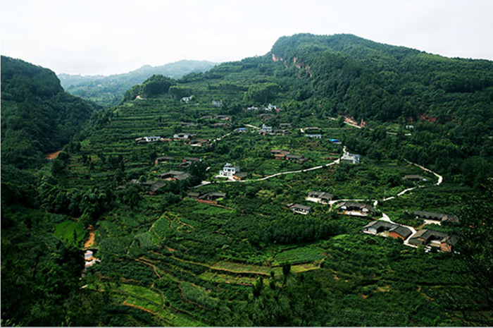 图片默认标题_fororder_20200511-SICHUAN-1