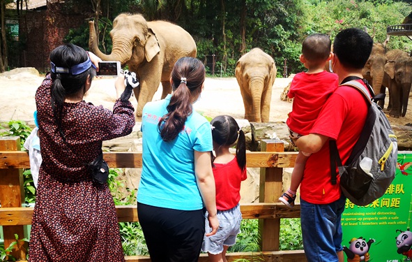 广州援鄂医护人员逛动物园庆祝国际护士节