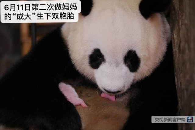 图片默认标题_fororder_J2-1