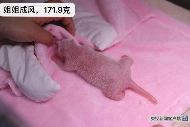 图片默认标题_fororder_J2-2