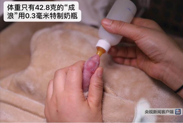 图片默认标题_fororder_J2-3