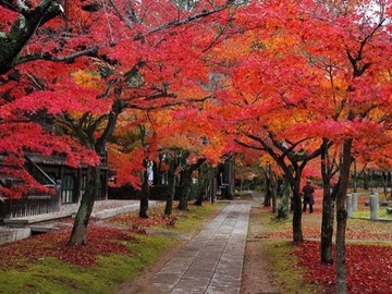 お便り紹介ー11月8日放送分