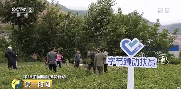 云南山村姑娘“南方小蓉”第一次登上央视，帮助贫困县卖出土豆45万吨