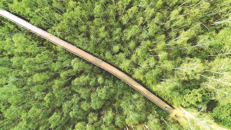 景城一体山水进城 建构城市爱的地标