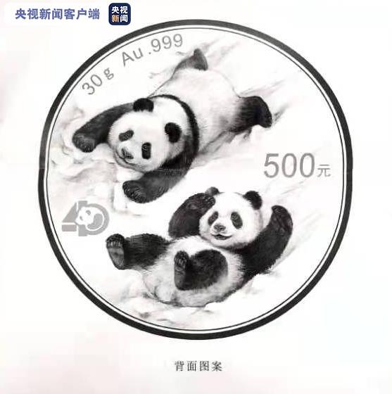 2022版熊猫金币的设计紧扣冬奥会这