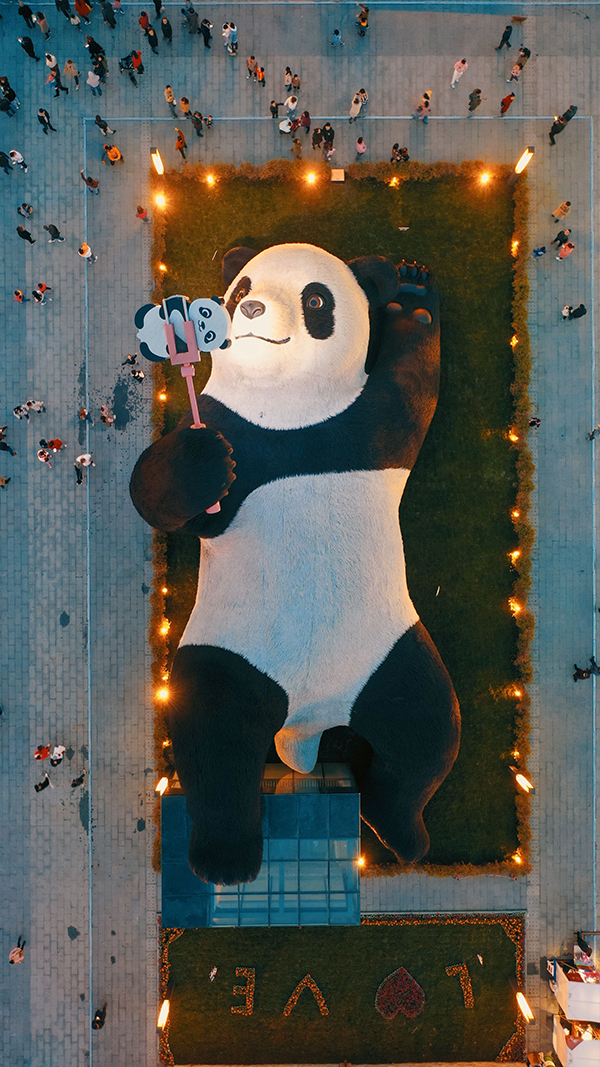 "Selfie-taking Panda" in Dujiangyan Wins International Prize_fororder_3