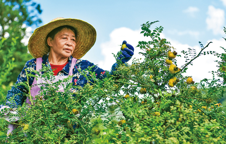 多彩新路越走越宽广