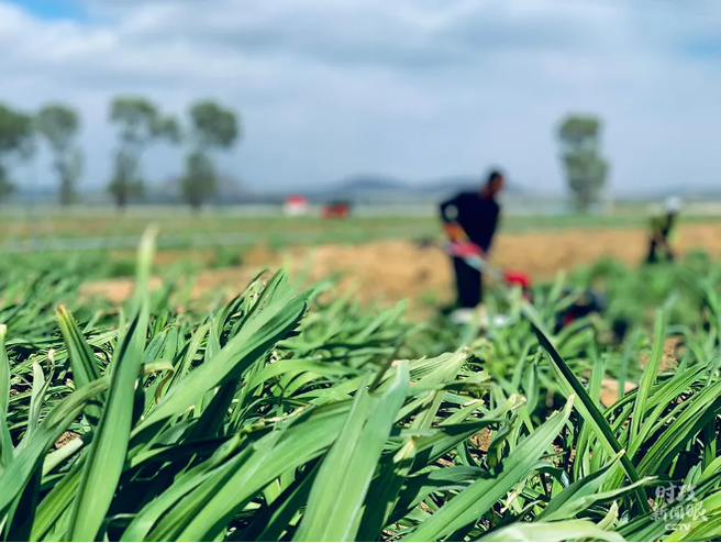 图片默认标题_fororder_3