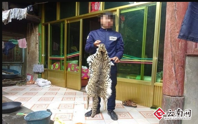 云南一村民在朋友圈晒豹猫杀害烹饪过程 警方找上门