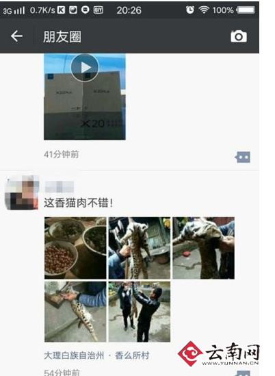 云南一村民在朋友圈晒豹猫杀害烹饪过程 警方找上门