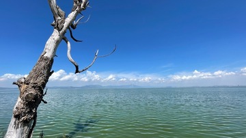 Lao Yu He තේබිම් උද්‍යානය