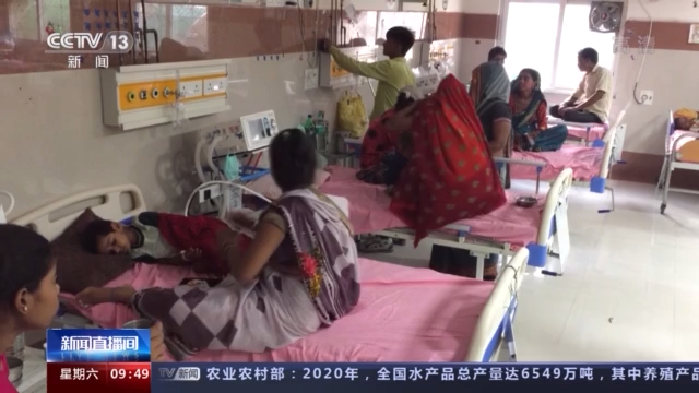 印度多地出现登革热和病毒性发烧病例 北方邦超百人死亡