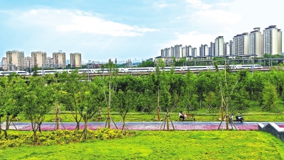 【中原名景-图片】郑州郑东新区高铁公园绿色绽放