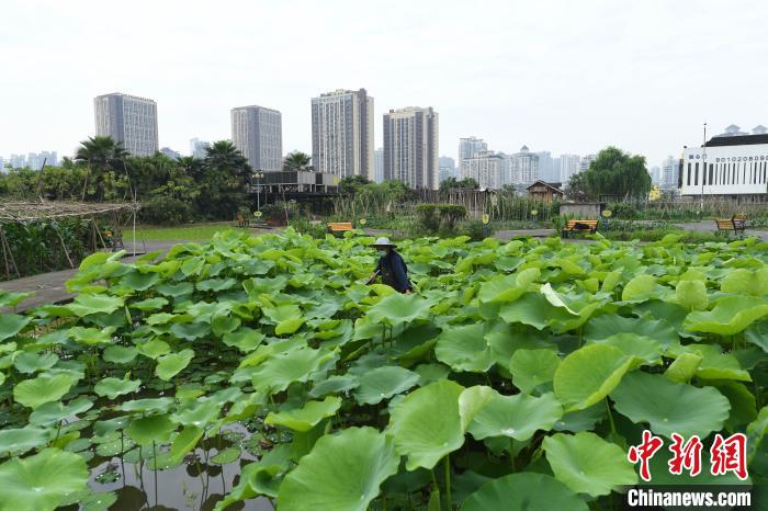 图片默认标题_fororder_FOREIGN202005121608000350311158425