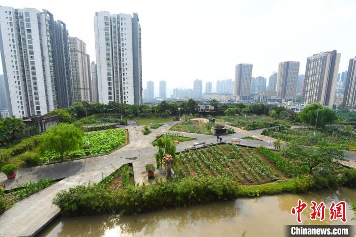 图片默认标题_fororder_FOREIGN202005121608000350306586558