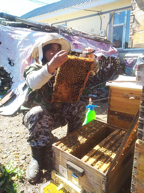 03【OK】【吉林供稿】延吉市依兰镇畜牧站送药送技术帮助养蜂人