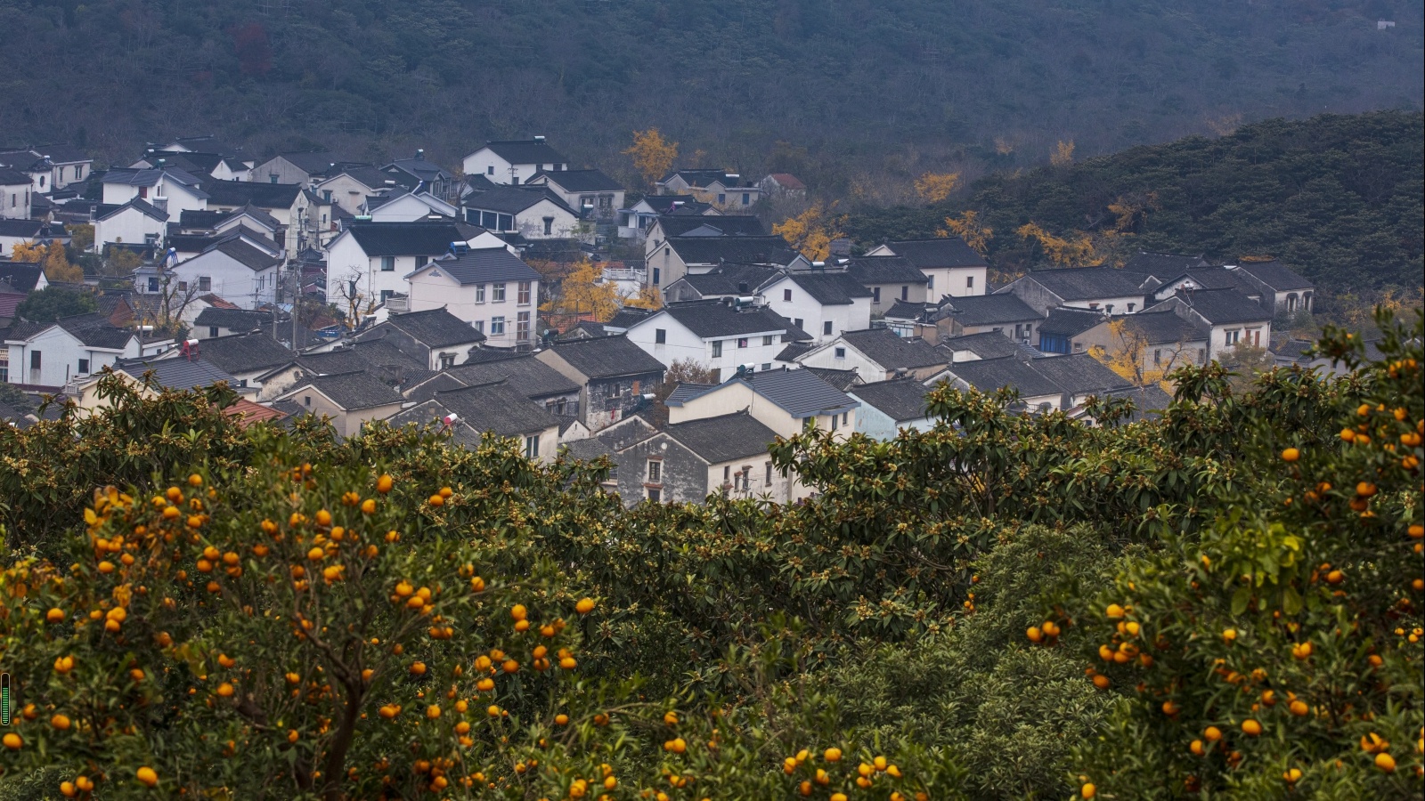 苏州东山:湖光山色锁金秋