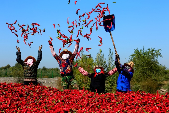 中 방방곡곡 중국농민풍수절 맞이_fororder_2