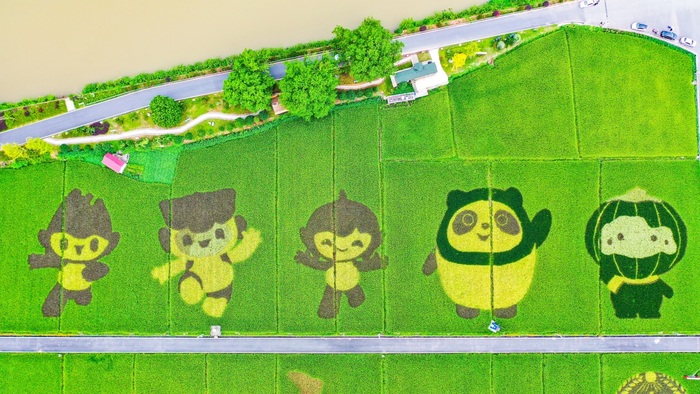 中 방방곡곡 중국농민풍수절 맞이_fororder_4