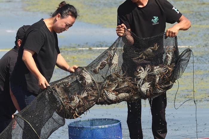 中 방방곡곡 중국농민풍수절 맞이_fororder_3