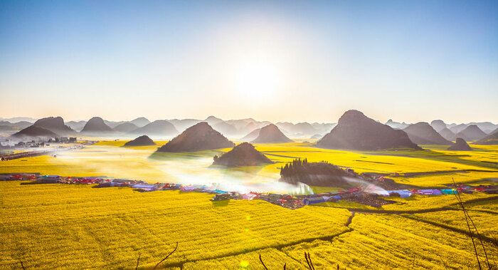 다채로운 운남, 다양한 생물의 보호_fororder_kjf