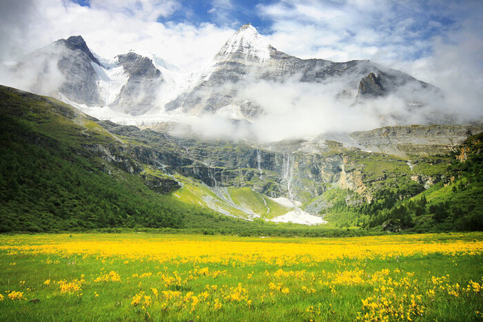 다채로운 운남, 다양한 생물의 보호_fororder_hjhjrhj