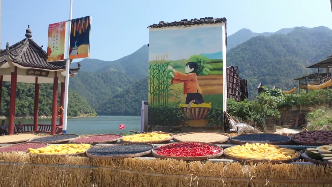 歙县:“上岸人家”喜晒秋 渔民转产乐呵呵 歙县:“上岸人家”喜晒秋 渔民转产乐呵呵_fororder_1