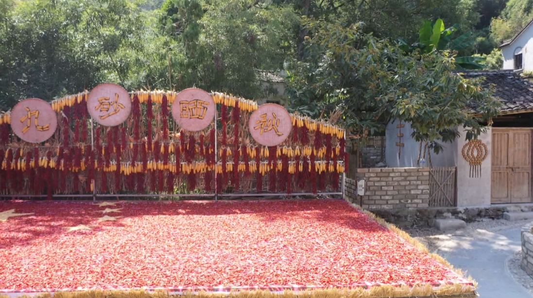 歙县:“上岸人家”喜晒秋 渔民转产乐呵呵 歙县:“上岸人家”喜晒秋 渔民转产乐呵呵_fororder_2