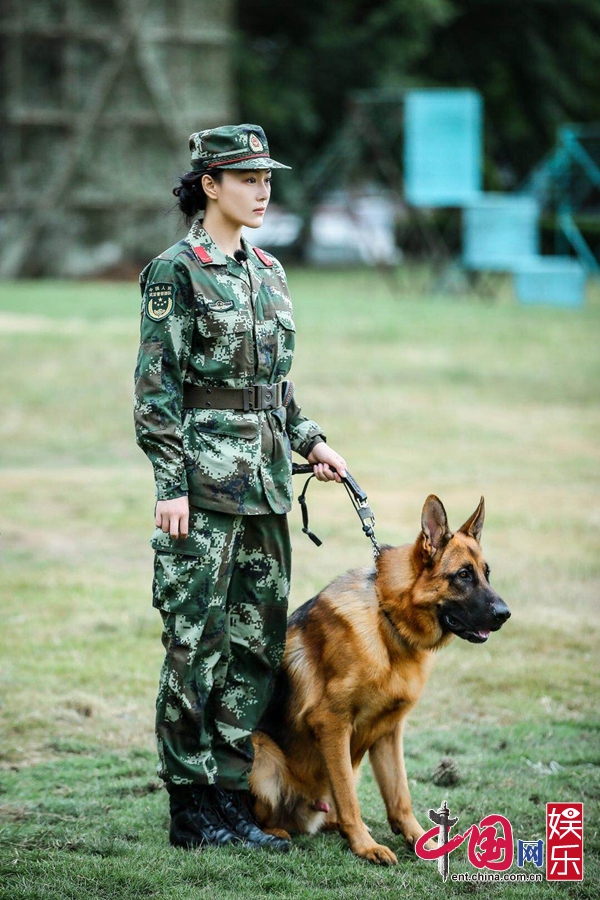 张馨予牵手真命"神犬" 期待和它遇见全新的自己 - 国际在线移动版