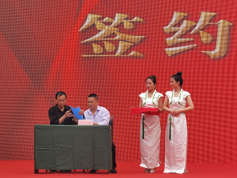广元苍溪:猕猴桃硕果满枝 共绘丰收美景_fororder_集中签约仪式-(2)
