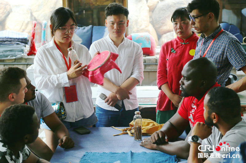 Fifteen international visitors in Henan: introduce the beautiful Central Plains to the world