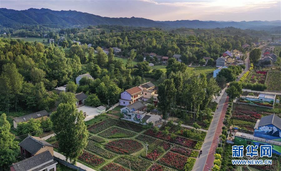 陕西洛南:铺满鲜花的玫瑰小镇
