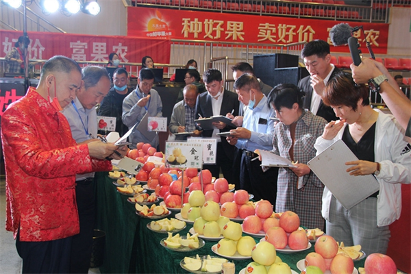 第四届中国(千阳)好苹果大赛总决赛举行 7个中早熟苹果获金奖_fororder_图片6