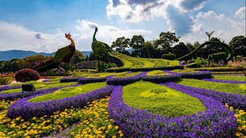 构建地球生命共同体 “中国主张”指明方向贡献力量_fororder_27c5bef0-8a1a-4700-bfd6-0ea92061fe29