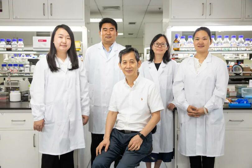 ความก้าวหน้าครั้งใหญ่ นักวิทยาศาสตร์จีนพัฒนาแป้งสังเคราะห์จากคาร์บอนไดออกไซด์ได้เป็นครั้งแรก_fororder_e15c1d4a93f1ca3bb4ec24c63db56642