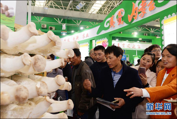  เปิดงานมหกรรมเกษตรนิวไฮเทคหยางหลิงจีน ครั้งที่ 24