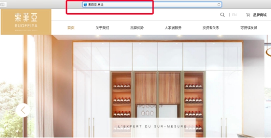 “索菲亚.网址”中文域名启用 全面提升索菲亚线上消费体验