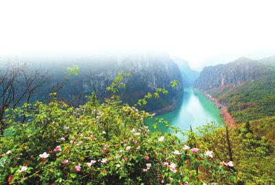 （转载）江油：以天府旅游名县建设引领“文旅兴市”