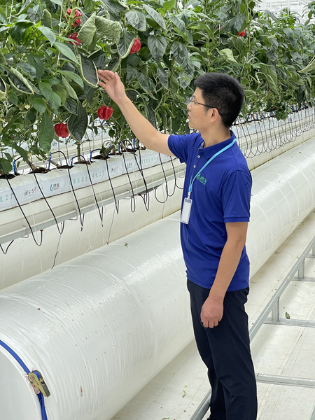 Geleceği hasat etmek_fororder_harvest