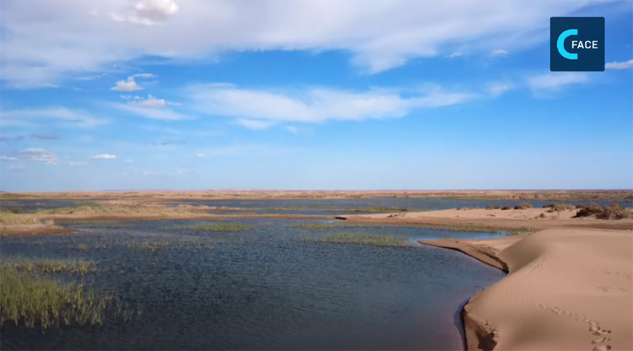 ผันน้ำแม่น้ำเหลือง ฟื้นความชุ่มชื้นทะเลทรายคู่ปู้ฉี_fororder_2611632974145_.pic_hd