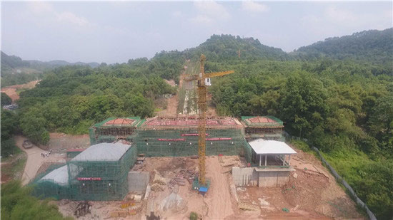 图片默认标题_fororder_1